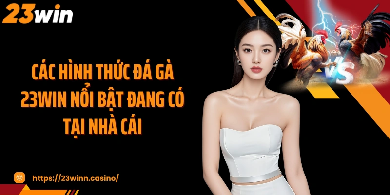 Các hình thức đá gà 23WIN nổi bật đang có tại nhà cái