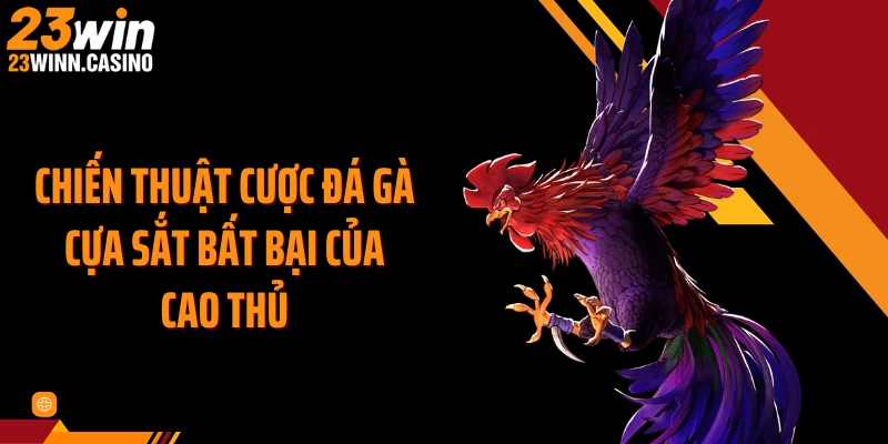 Chiến thuật cược đá gà cựa sắt bất bại của cao thủ