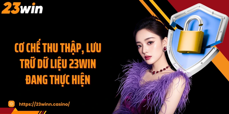 Cơ chế thu thập, lưu trữ dữ liệu 23WIN đang thực hiện