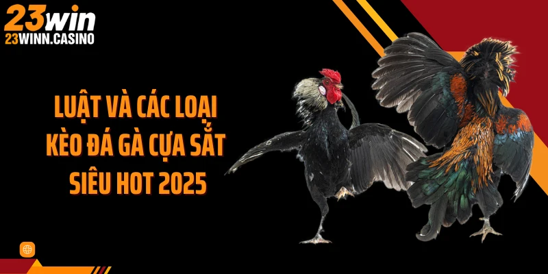 Luật và các loại kèo đá gà cựa sắt siêu hot 2025